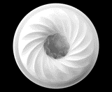 Tornado